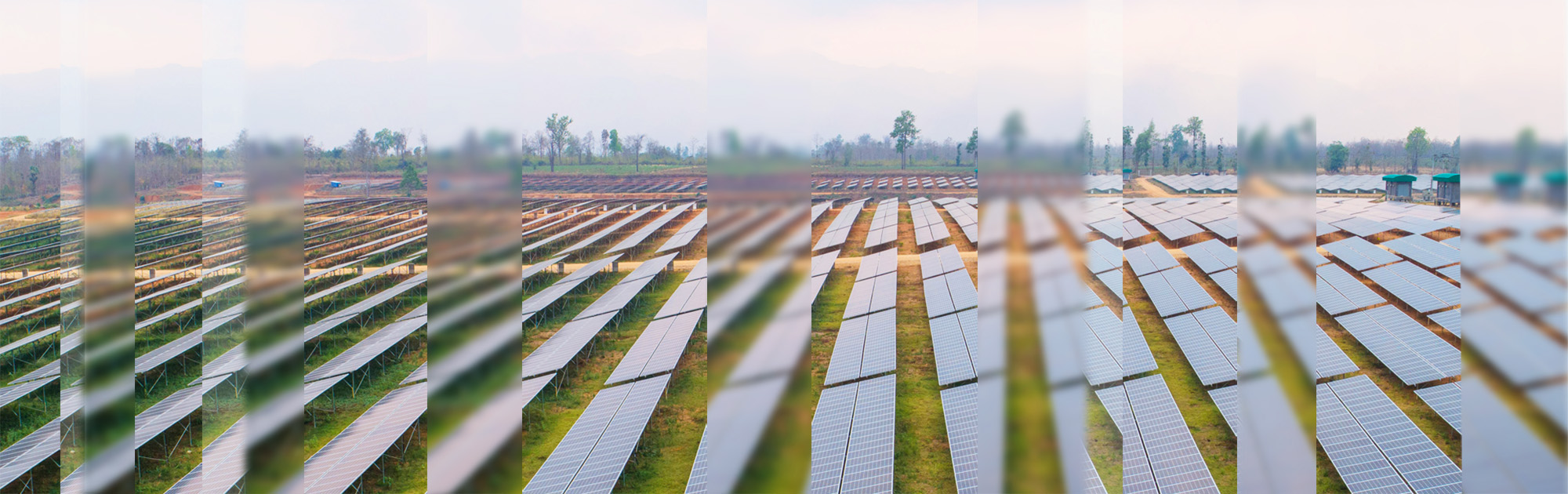 solar farm