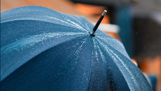 umbrella