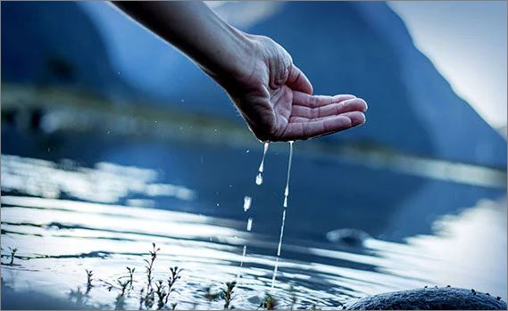 pvb-sustainable-investing-esg-our-role-in-si